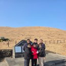 가나제주여행사 | 제주도 16인승 쏠라티 투어 후기, 기사 포함이라 걱정없는 식도락 여행