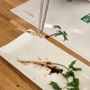 인천그린푸드랑 프린피아점 | 인천 당하동 한식맛집 연잎밥과 국수 다밀 검단점 C코스 후기