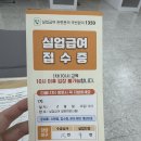 본청 | 육아로 인한 퇴사, 실업급여(구직급여) 후기｜서울고용노동청본청