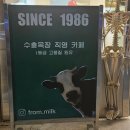 밀크 | 가평 카페 추천 목장직영 수제 젤라또 아이스크림 맛집, 프롬밀크 방문 후기