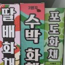 양남담배 이미지