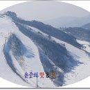 대관령 황태마을 이미지