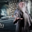 조앤전 이미지