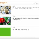 용방초등학교 이미지