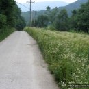 예미초 고성분교장 이미지