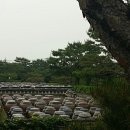 내고향공인중개사사무소 이미지