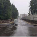 흙담솔로 이미지