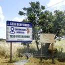 (유)국제자원환경 | 국제위러브유운동본부 장길자 회장님_브라질 호라이마주 원주민 마을 물펌프 지원