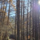 명품스피치(자신감 향상) 이미지