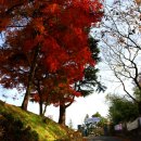 군산대성중학교 이미지