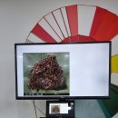 도곡농장2 이미지