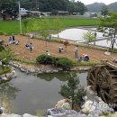 단양영천곰굴마을 티스토리