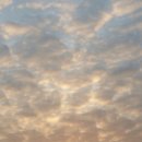 일출농장 이미지