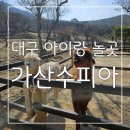 대구 아이랑 놀곳 : 알파카랜드 꽃공예체험 가산수피아에서 즐거운 추억만든 후기