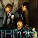 트리탑스 카카오 검색결과