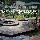 숲속계곡쉴만한물가 | 천안 아이와 가볼만한곳 태학산 자연휴양림 숲체험 숲놀이터 숲캉스산책로 계곡 등산 코스