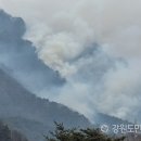 김삿갓면-45 강원도민일보