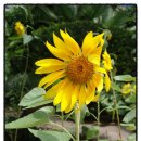 한산파출소 이미지