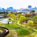 한밭수목원 Daum카페