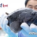 23 이미지