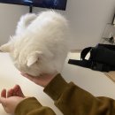 작고 소중해 이미지