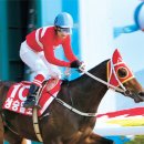 삼관목장 이미지