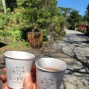 샐리스제주호텔 이미지