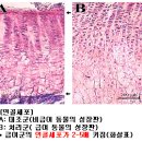 한서생물 이미지