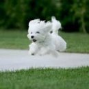 (주)행복한 사람들 이미지