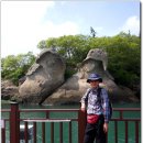 목포랑시티투어 이미지