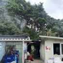 감나무집할머니 | 강릉 흑돼지 맛집｜회 대신 찾은 용골감나무집 흑돼지 삼겹살 (예약방법, 후기)