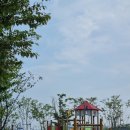 강서어린이공원 앞 이미지