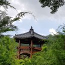 무학산 둘레길 이미지