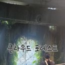 해피라인 | 싱가포르 여행 후기 - 말레이시아에서 에어로라인 버스타고 클라우드 포레스트 + 해피트리쇼 감동 가득!