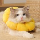 해바라기 애견 쇼핑하우