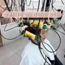동탄영천동미용실 살롱희헤어 여원디자이너 펌 추천
