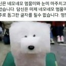 네모네모 이미지