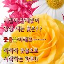 하이든 D장조 피아노 협주곡. XVIII:11 - 신 아 마 / 비목 - sp 심규연 이미지