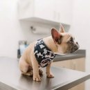 구로(장애통합) 이미지