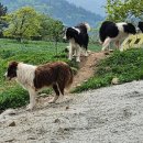 약산농장 이미지