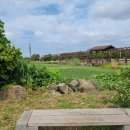 남생이못 습지생태 관찰원 이미지