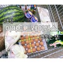 이마트트레이더스(군포점)홀세일 이미지