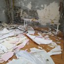 제일지업사 이미지