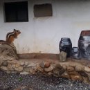 매산마을 이미지