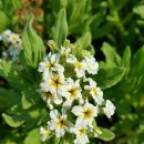 석모도바람길 이미지