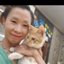 뜨란 멍＆냥 이미지
