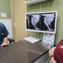 삼송사랑 동물의료센터 이미지