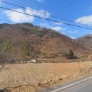 공인중개사사무소 진흥부동산 이미지