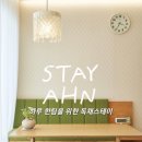 스테이Ahn