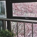 디엔에이엔터테인먼트(주) 네이버블로그